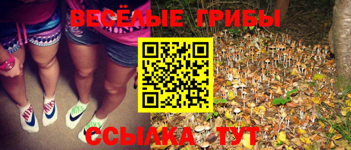 Галлюциногенные грибы ЛСД Вольск